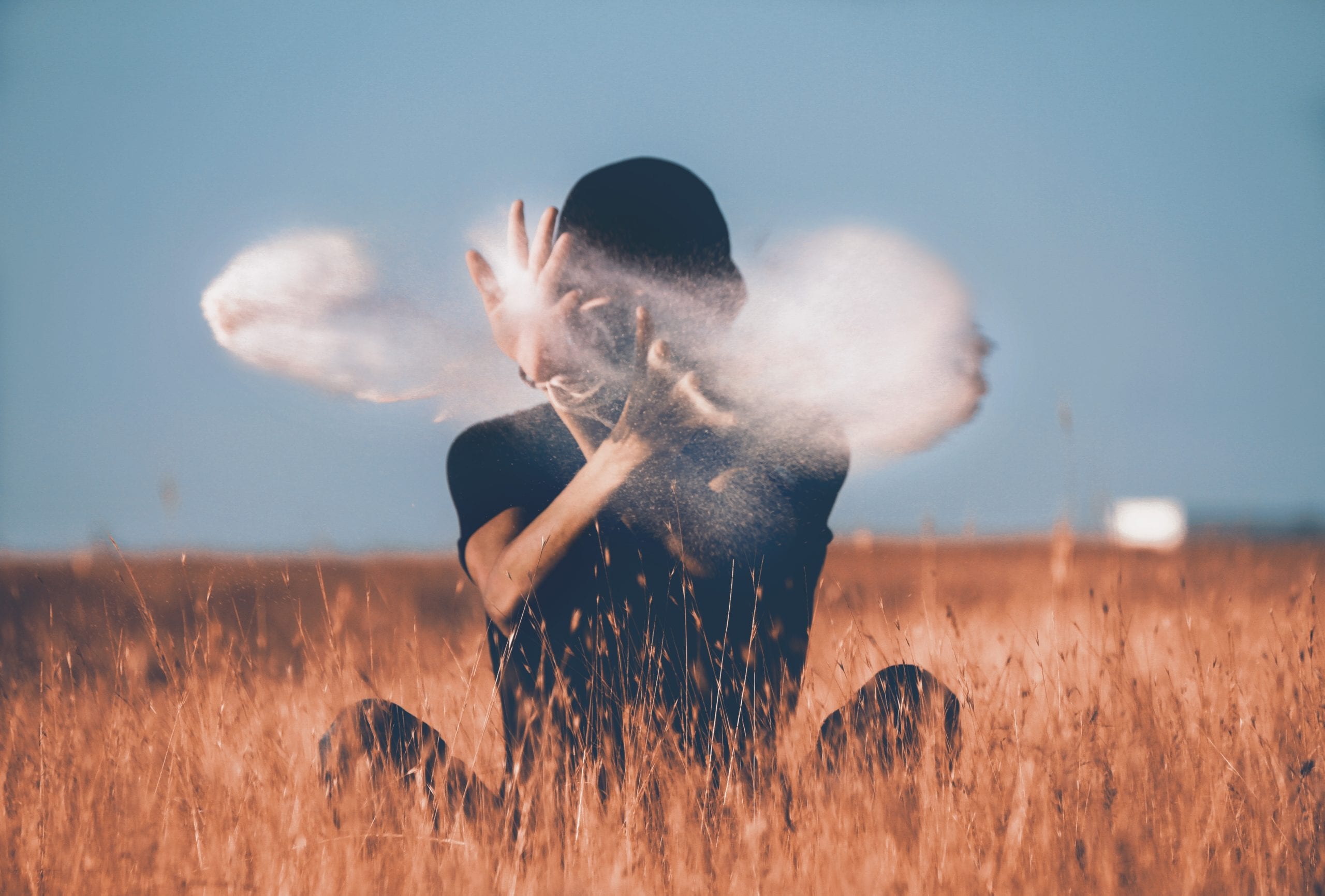 3 Websites To Quickly Learn Virtual Assistant Skills Stephanie Brodt